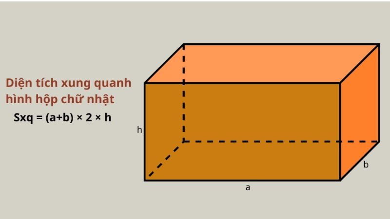 Công Thức Tính Diện Tích Xung Quanh của Hình Hộp Chữ Nhật