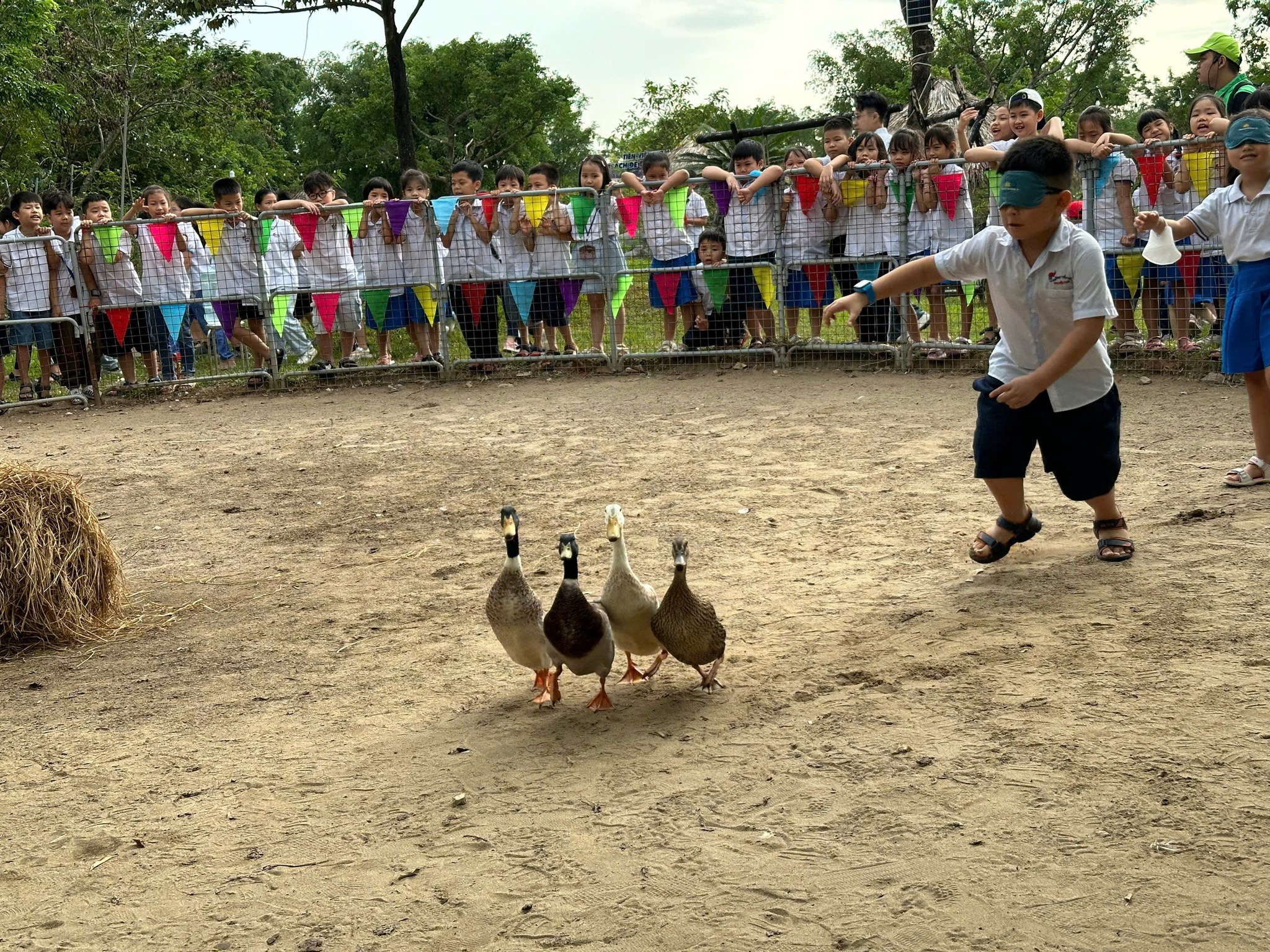 540521088 1558417325547430 2811800850690578856 n