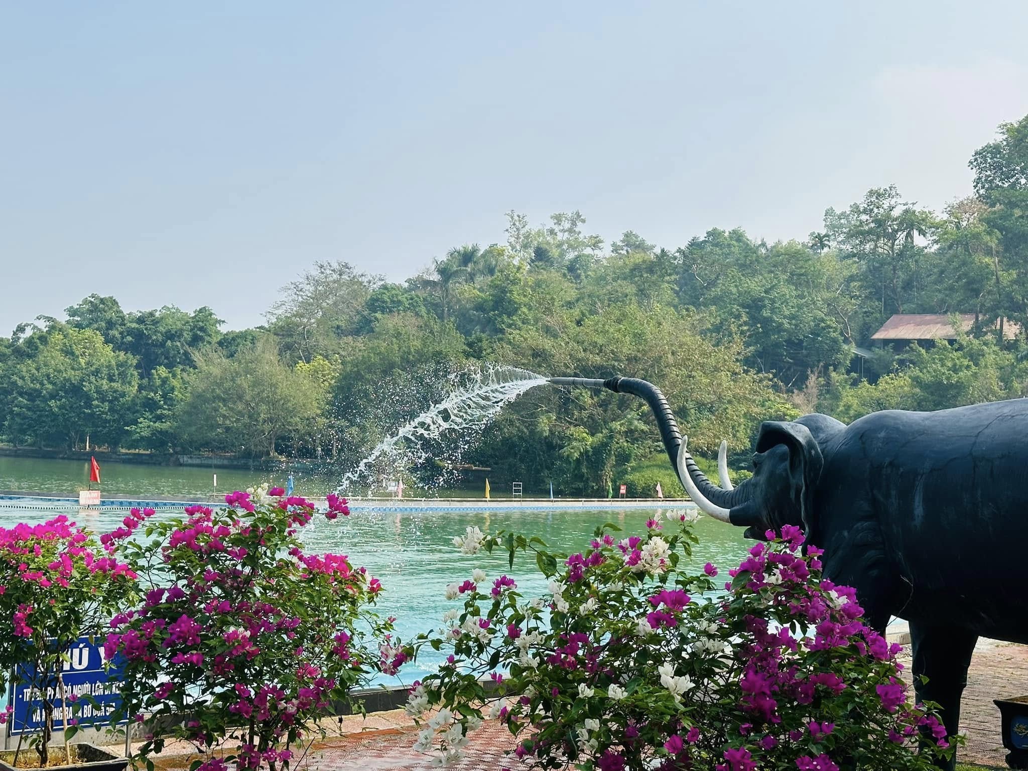 559367040 1252798746874900 5739287728350974767 n